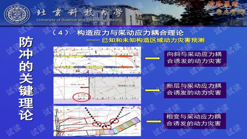 中标结果 第57页