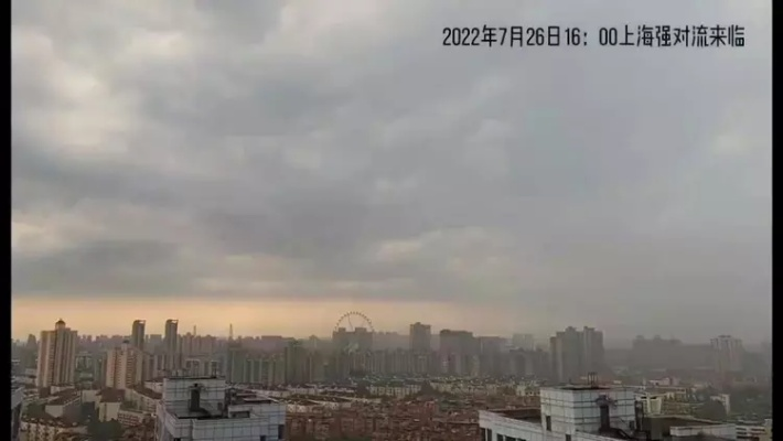 中标结果 第56页