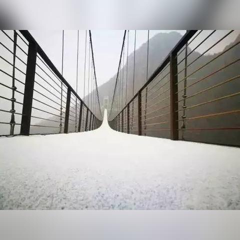 郑州，大雪纷飞，如梦如幻的银装素裹世界