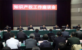 国家知识产权局官网，推动知识产权事业发展的核心驱动力