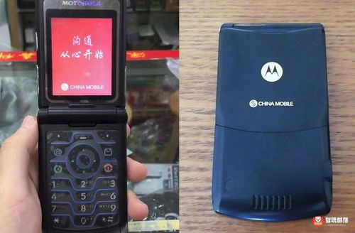 2025年9月5日 第7页