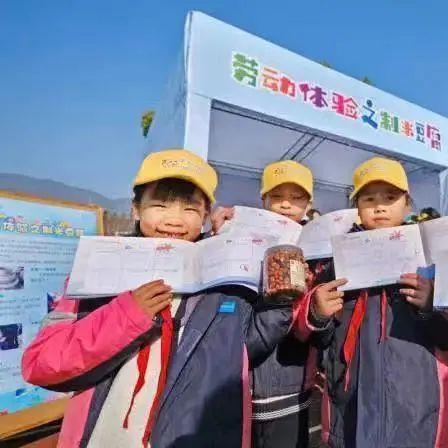 苏炳添获全国五一劳动奖，荣耀背后的汗水与拼搏