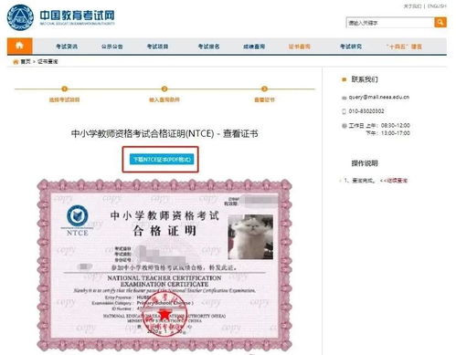 招标预告 第4页