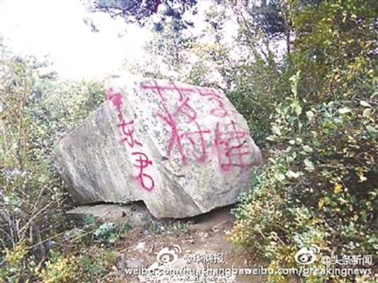 24小时更新 第3页